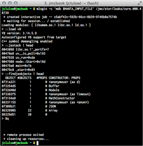 screenshot of mlogin in terminal